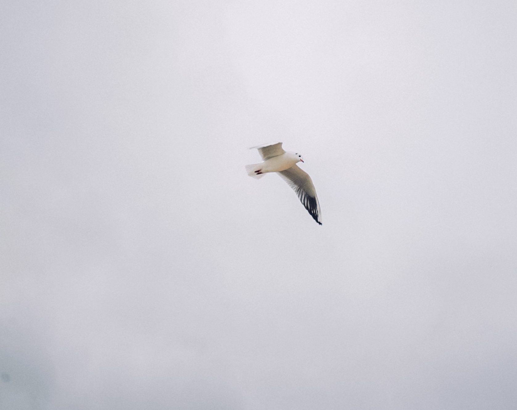 helpful single parenting 2