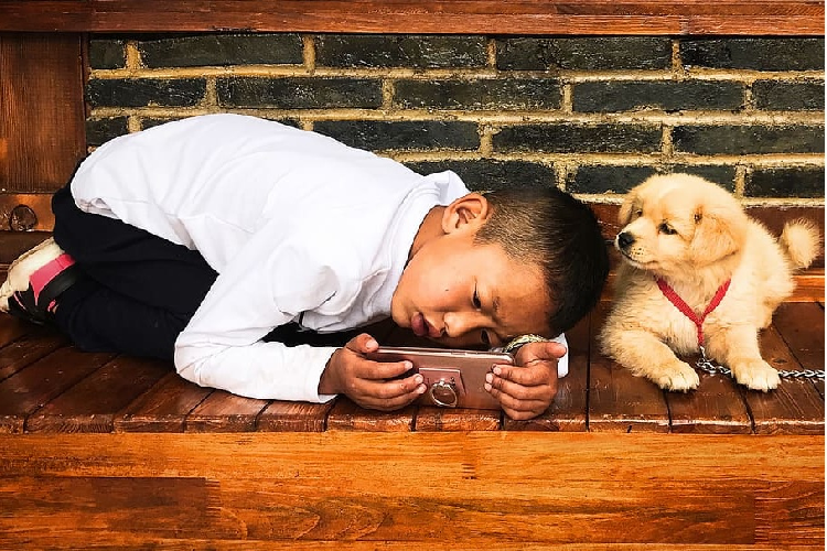 All the Good Things about Getting A Dog For Your Kids: 4 Surprise Benefits
